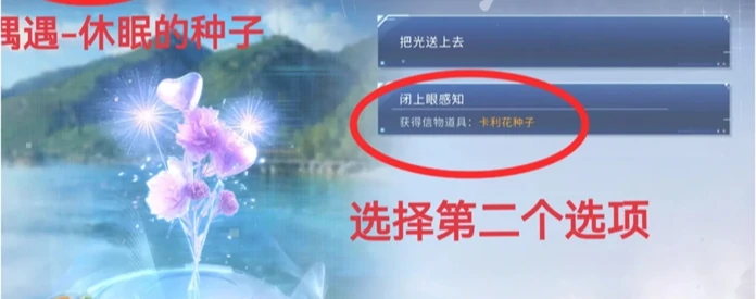 恋与深空卡利花的回响沈星回全结局攻略