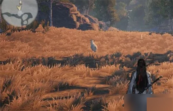 燕云十六声脂尾羊获取攻略