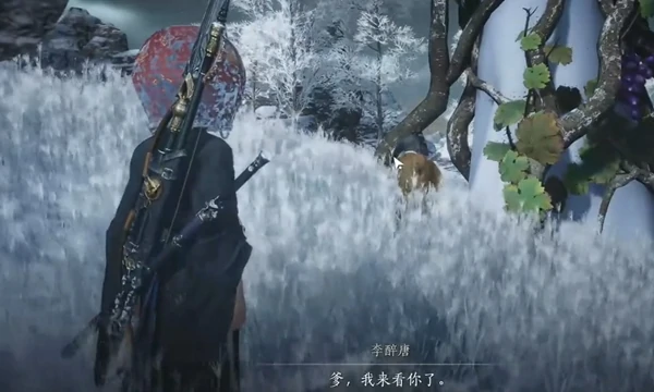 燕云十六声万事知父亲的钱匣任务怎么过