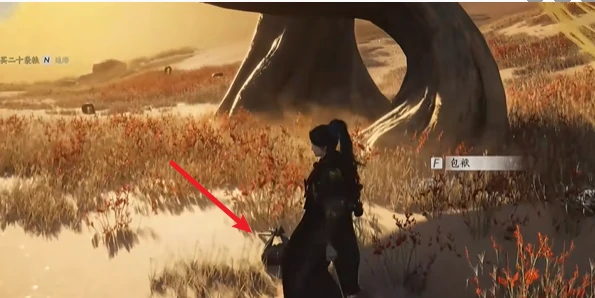 燕云十六声大盗难成任务怎么完成