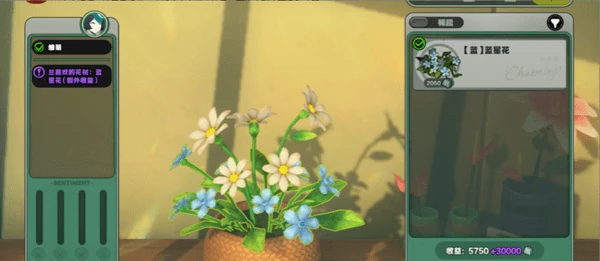 绝区零花语未明之言朝露初识花信攻略