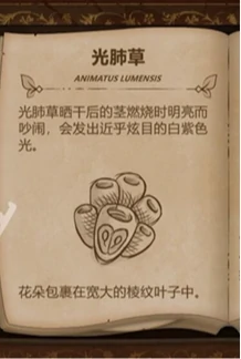 奇异园艺植物图鉴大全