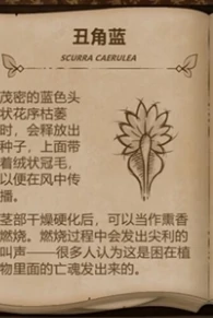 奇异园艺植物图鉴大全