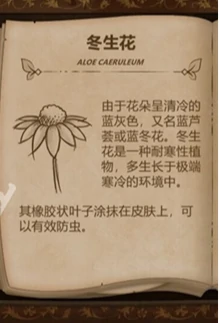 奇异园艺植物图鉴大全