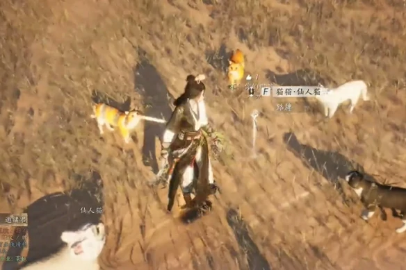 燕云十六声猫瘾患者奇遇怎么完成