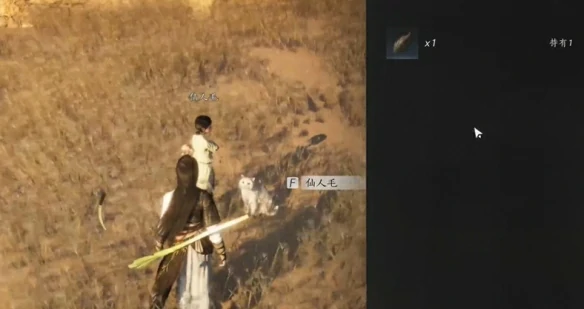 燕云十六声猫瘾患者奇遇怎么完成