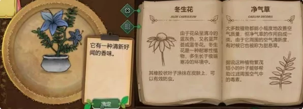 奇异园艺药剂配方大全