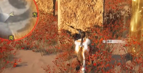 燕云十六声骸骨哀任务怎样完成