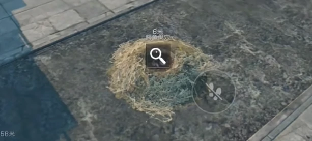 三角洲行动鳄鱼巢穴位置在哪