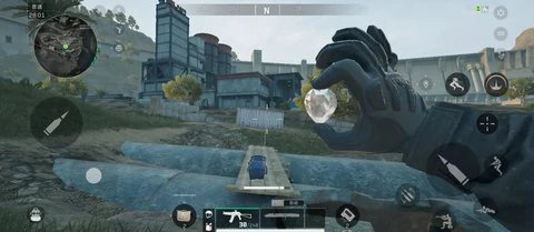 三角洲行动鸟窝能出什么东西