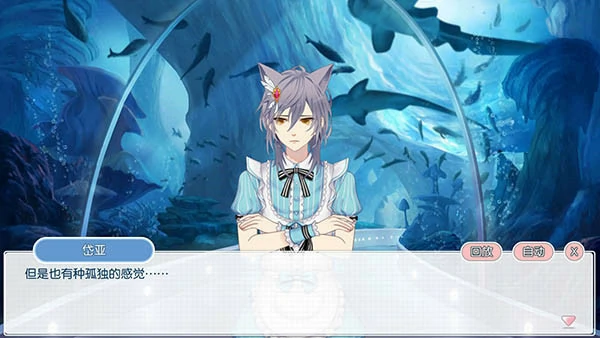 萌猫物语怎样提升好感度