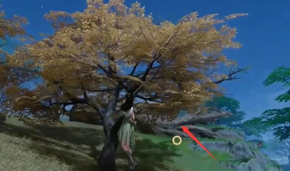 仙剑世界映月坡宝箱全位置