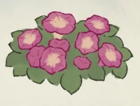 桃源深处有人家牵牛花育种配方大全