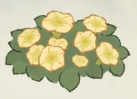 桃源深处有人家牵牛花育种配方大全