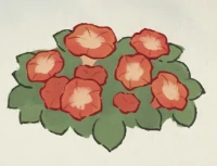 桃源深处有人家牵牛花育种配方大全