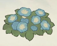 桃源深处有人家牵牛花育种配方大全