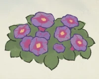 桃源深处有人家牵牛花育种配方大全