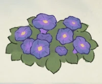 桃源深处有人家牵牛花育种配方大全