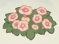 桃源深处有人家牵牛花育种配方大全