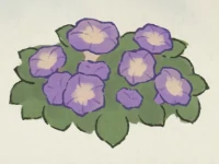 桃源深处有人家牵牛花育种配方大全