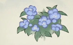 桃源深处有人家凤仙花育种配方大全