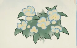 桃源深处有人家凤仙花育种配方大全