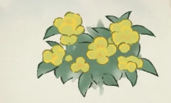 桃源深处有人家凤仙花育种配方大全