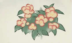 桃源深处有人家凤仙花育种配方大全