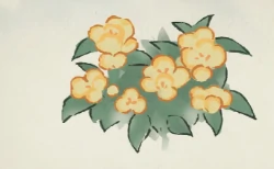 桃源深处有人家凤仙花育种配方大全