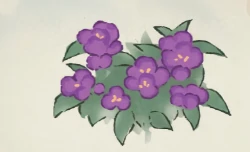 桃源深处有人家凤仙花育种配方大全