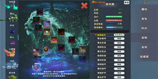 遇见手游宠物攻略篇最全