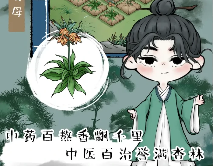 中药铺子药方大全