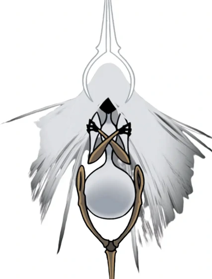 空洞骑士：丝之歌苍白之母地点及打法