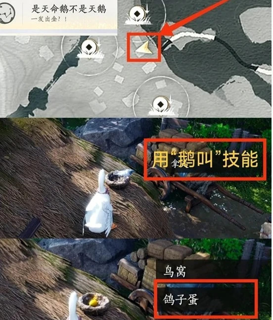 燕云十六声怪盗一只鹅全成就完成攻略