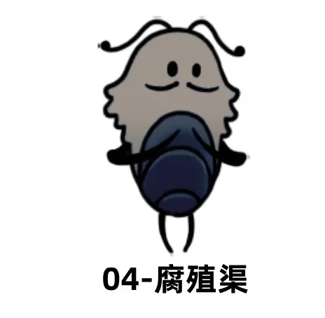 空洞骑士：丝之歌工具袋与制作匣获取方式