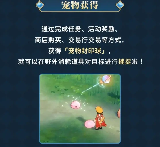 仙境传说重生宠物系统介绍，宠物怎么获得