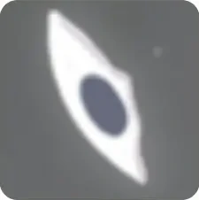 空洞骑士：丝之歌收集类成就完成方法