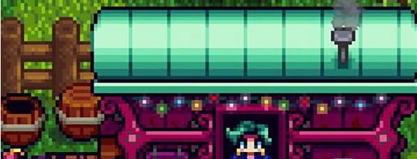 星露谷物语鹦鹉螺获取方法