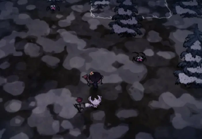 饥困荒野企鹅岛音符符号攻略