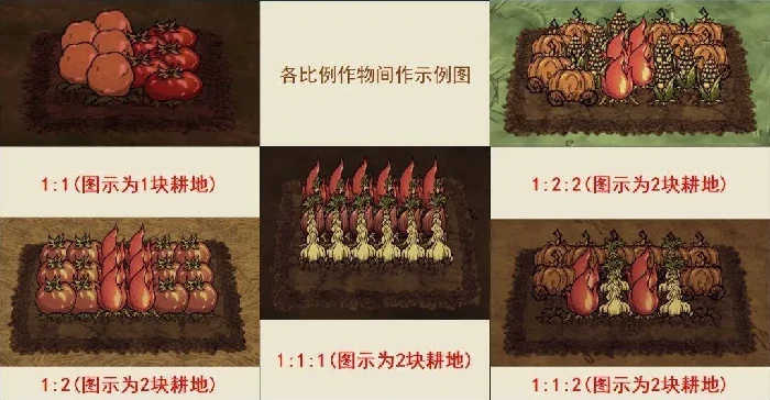 饥困荒野间作种植比例图