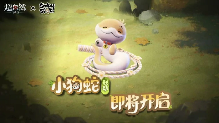 超自然行动组