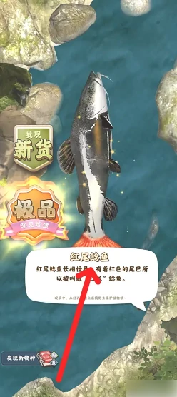 夺笋高手如何获得红尾鲶鱼 夺笋高手获得红尾鲶鱼方法