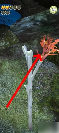 夺笋高手如何获得到香椿 夺笋高手获得香椿方法