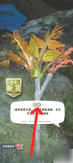 夺笋高手如何获得到香椿 夺笋高手获得香椿方法