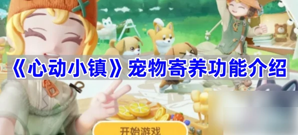 心动小镇如何寄养猫咪 心动小镇宠物寄养功能介绍,