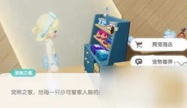 心动小镇如何寄养猫咪 心动小镇宠物寄养功能介绍,