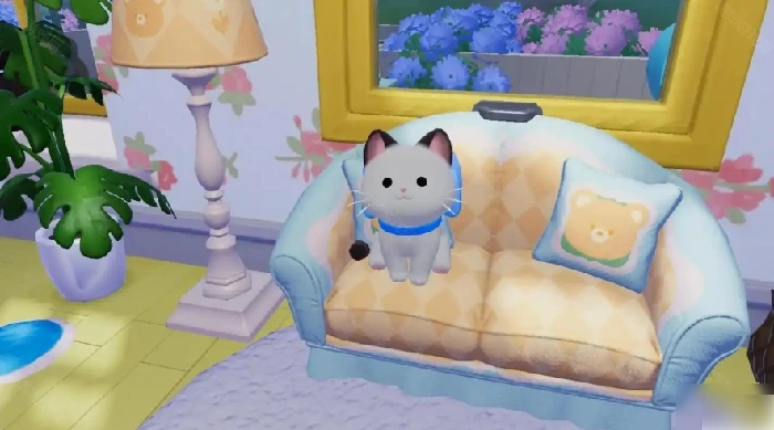 心动小镇如何寄养猫咪 心动小镇宠物寄养功能介绍,