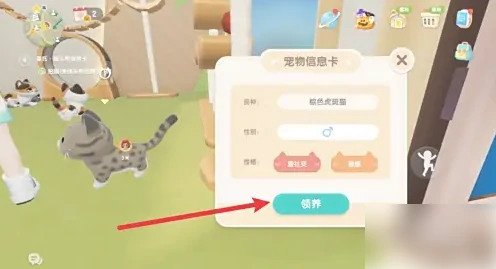 心动小镇如何养宠物 心动小镇领养宠物方法