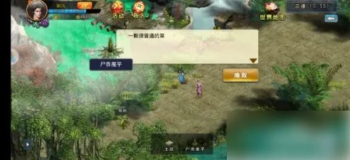濡沫江湖尸香魔芋怎么获得 濡沫江湖手游获得尸香魔芋方法,