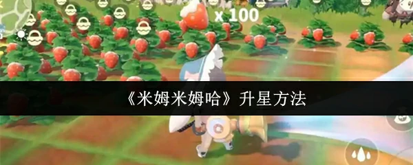 米姆米姆哈怎么升星 米姆米姆哈升星方法,